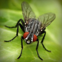 /album/filipinlibakici/photolia-a01-jpg/