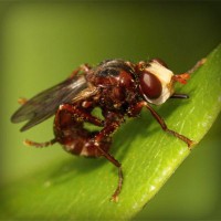 /album/filipinlibakici/photolia-a06-jpg/